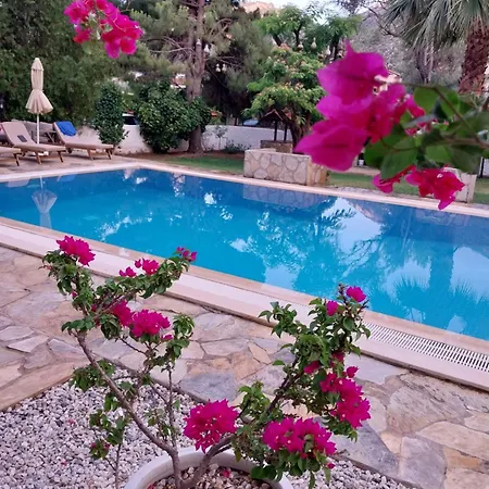 Dantella Villa *